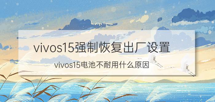 vivos15强制恢复出厂设置 vivos15电池不耐用什么原因？